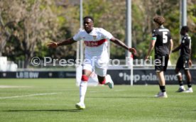 25.04.26 U17 VfB Stuttgart - U17 Hannover 96