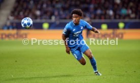 TSG 1899 Hoffenheim - Olympique Lyon