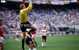WM 1990 CSFR - Deutschland