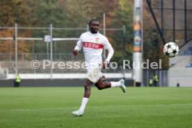 06.11.24 U19 VfB Stuttgart - U19 Atalanta Bergamo