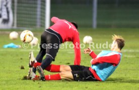 VfB Stuttgart Training