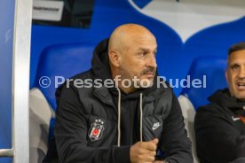 15.10.26 TSG 1899 Hoffenheim - Besiktas Istanbul
