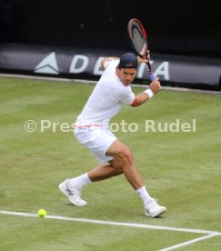 MercedesCup 2015