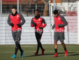 VfB Stuttgart Training
