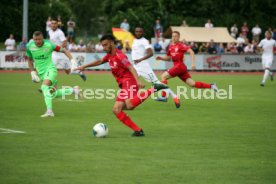 FC Z&uuml;rich - VfB Stuttgart