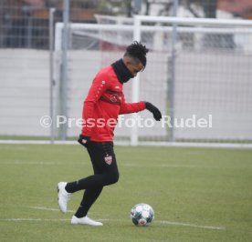 VfB Stuttgart Training