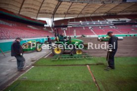 VfB Stuttgart Neuer Rasen