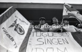 25.05.88 PSV Eindhoven - Benfica Lissabon