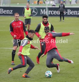 VfB Stuttgart Training