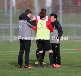 VfB Stuttgart Training