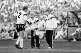 14.06.88 Deutschland - D&auml;nemark