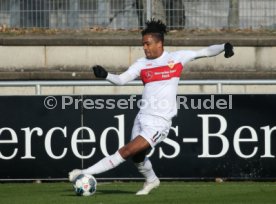 VfB Stuttgart - SG Dynamo Dresden