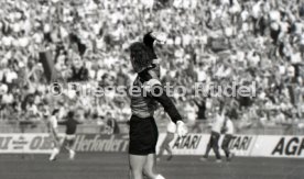 DFB-Pokal Finale 1987 Hamburger SV - Stuttgarter Kickers