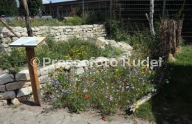 18.07.24 VfB Stuttgart Vorstellung Biodiversit&auml;ts-Lehrpfad
