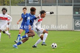 25.11.23 U19 VfB Stuttgart - U19 TSG 1899 Hoffenheim