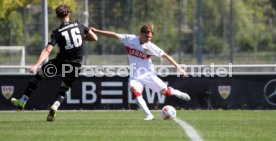 25.04.26 U17 VfB Stuttgart - U17 Hannover 96