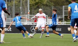 14.09.24 U17 VfB Stuttgart - U17 TSG 1899 Hoffenheim