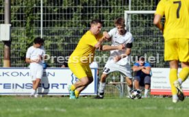 23.08.26 TSV Ph&ouml;nix Steinsfurt - SV Tiefenbach
