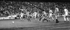 VfB Stuttgart - 1. FC K&ouml;ln