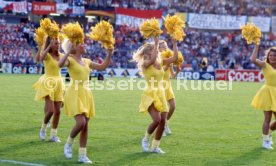 18.06.92 Niederlande - Deutschland