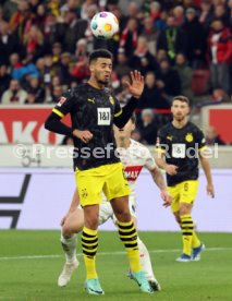 11.11.23 VfB Stuttgart - Borussia Dortmund