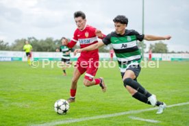 04.03.25 U19 Sporting CP - U19 VfB Stuttgart
