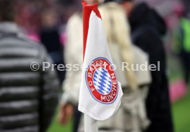 19.10.24 FC Bayern M&uuml;nchen - VfB Stuttgart