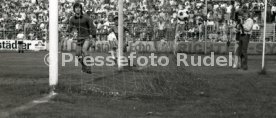 SV Darmstadt 98 - VfB Stuttgart