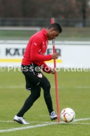 VfB Stuttgart Training