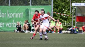19.04.25 Frauen VfB Stuttgart II - VfB Stuttgart