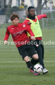 VfB Stuttgart Training
