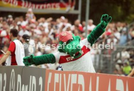 12.08.23 TSG Balingen - VfB Stuttgart
