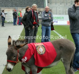 SG Sonnenhof Gro&szlig;aspach - FC Energie Cottbus
