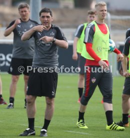 VfB Stuttgart Training