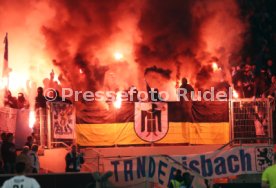 VfB Stuttgart - TSV 1860 M&uuml;nchen