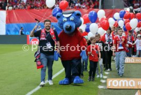 18.05.24 1. FC Heidenheim - 1. FC K&ouml;ln