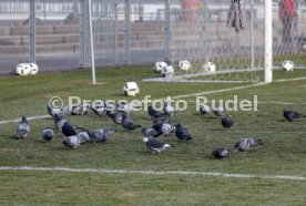 VfB Stuttgart Training