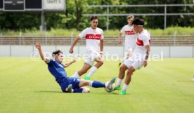18.05.24 VfB Stuttgart II - TSG 1899 Hoffenheim II
