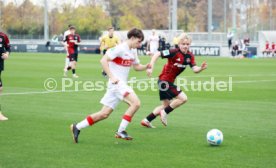 01.11.25 U19 VfB Stuttgart - U19 1. FC Nürnberg