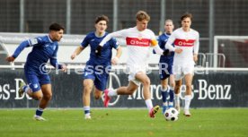 25.11.23 U19 VfB Stuttgart - U19 TSG 1899 Hoffenheim