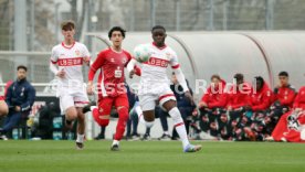 29.03.25 U17 VfB Stuttgart - U17 1. FC Köln