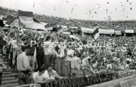 DFB-Pokal Finale 1987 Hamburger SV - Stuttgarter Kickers