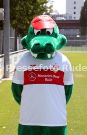 VfB Stuttgart Fototermin 2019/2020