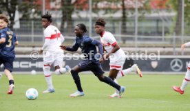 03.05.25 U17 VfB Stuttgart - U17 1. FSV Mainz 05