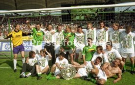 05.06.1993 VfB Stuttgart - SV Werder Bremen