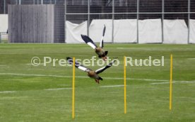 21.01.24 VfB Stuttgart Training