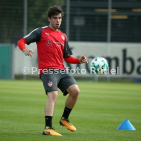 VfB Stuttgart Training