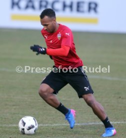 VfB Stuttgart Training