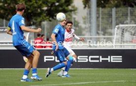 14.09.24 U17 VfB Stuttgart - U17 TSG 1899 Hoffenheim