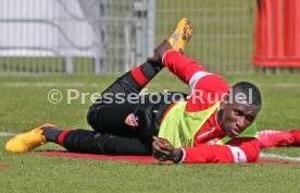 VfB Stuttgart